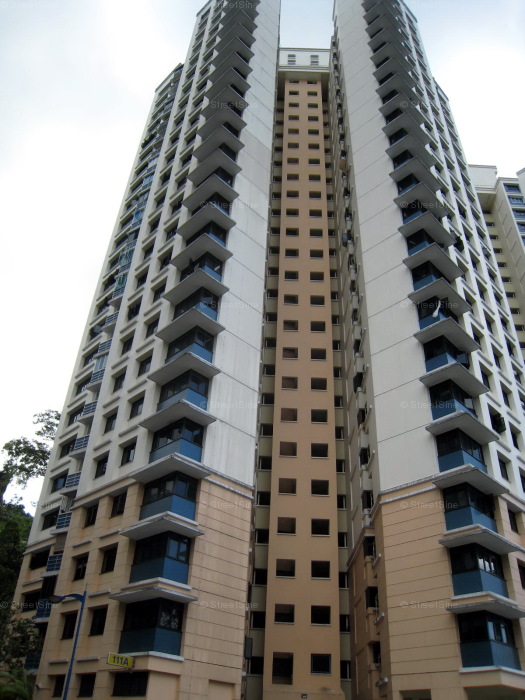 Blk 111A Depot Heights (Bukit Merah), HDB 5 Rooms #259632